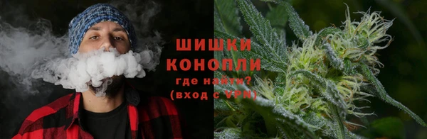 индика Майский