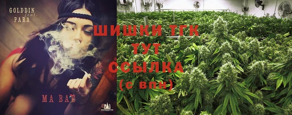 индика Майский