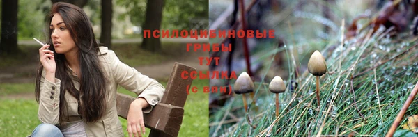 индика Майский