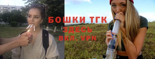 индика Майский