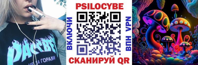 Купить где  Туран  Псилоцибиновые грибы мицелий 